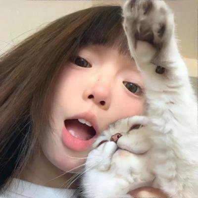 写珍集